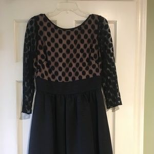 Eliza J Mesh Polka Dot Fit & Flare Dress
